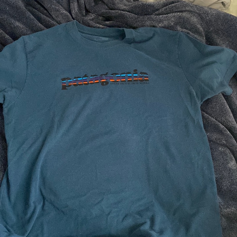Patagonia blue short sleeve tshirt